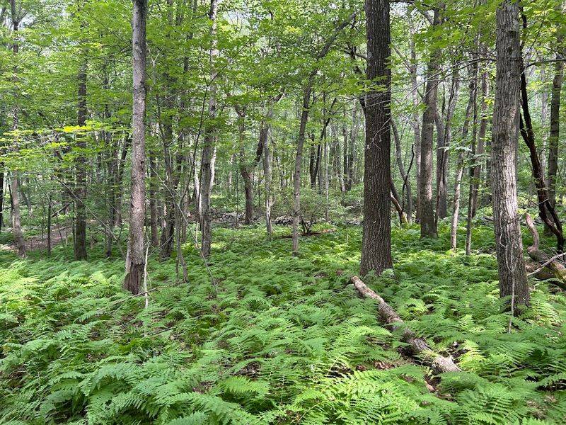 Why This Place Matters Beyond Recreation