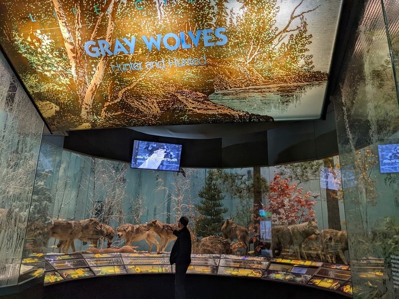 Why This Place Matters for Endangered Species Research Why This Place Matters for Endangered Species Research