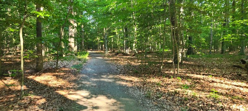 Why This Preserve Matters Beyond the Trail Why This Preserve Matters Beyond the Trail