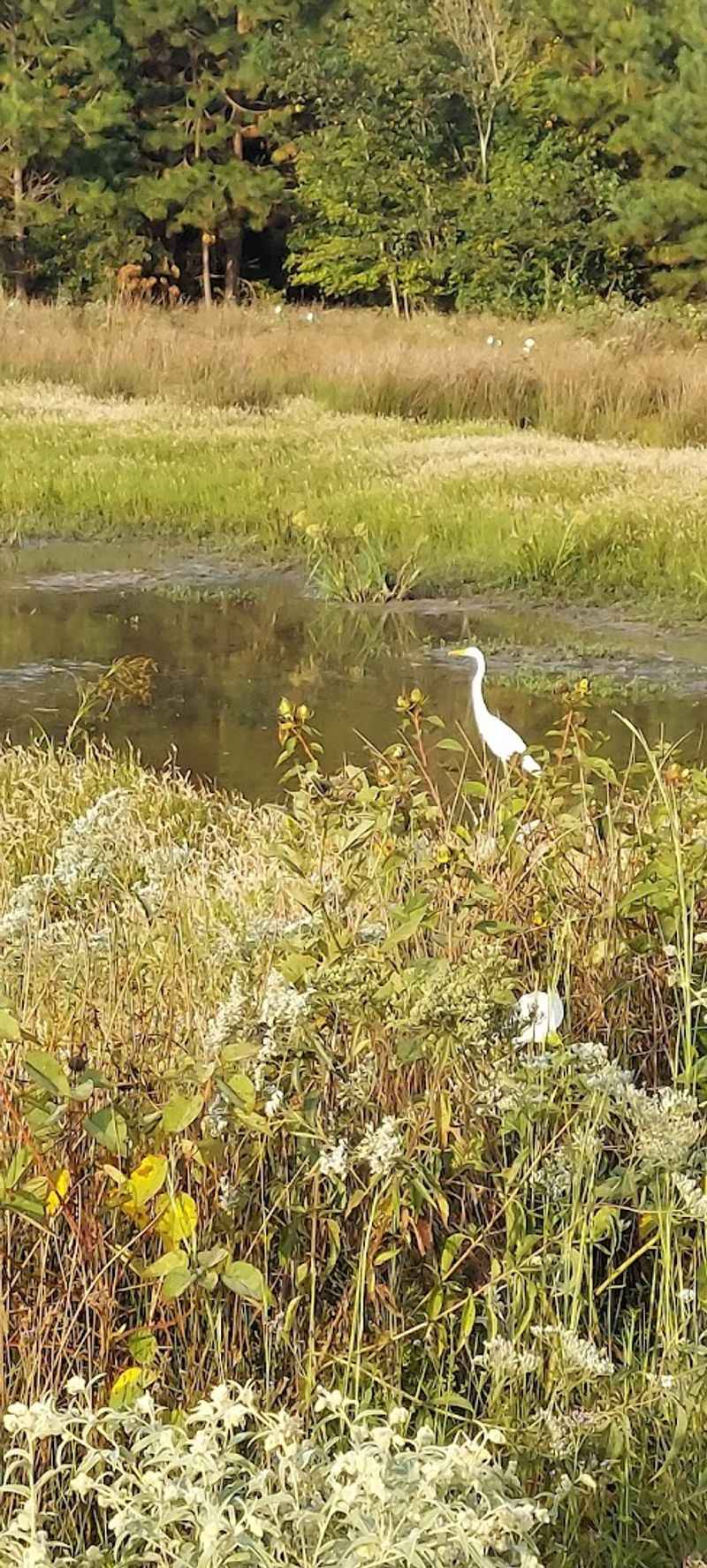 Why This Refuge Matters Beyond Oklahoma