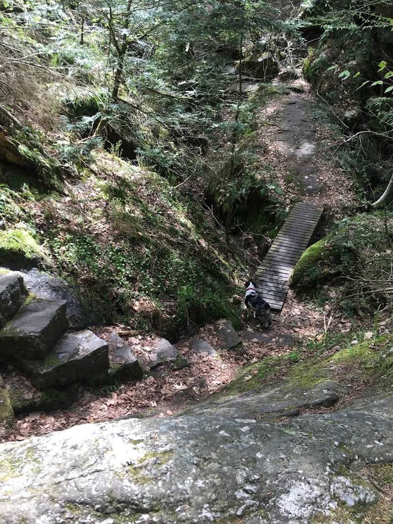 Why This Short Trail Stays With You