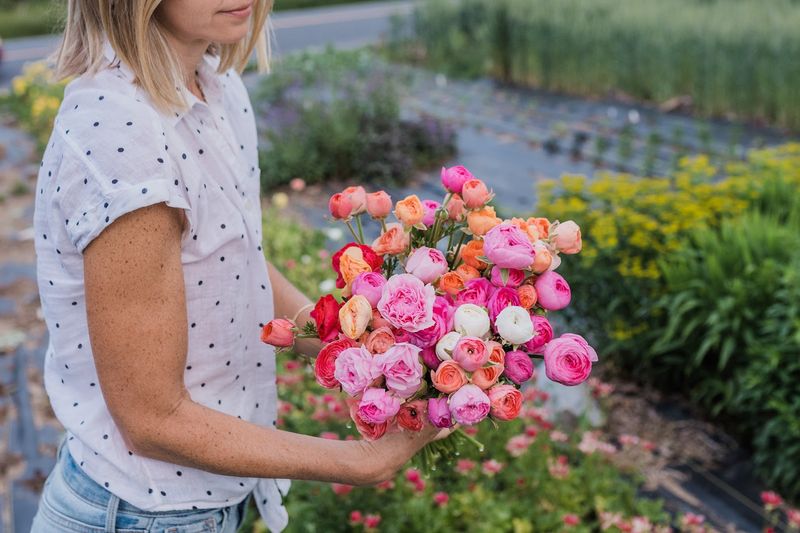 Why This Small Farm Leaves a Lasting Impression Why This Small Farm Leaves a Lasting Impression