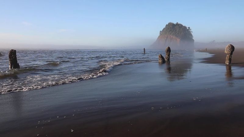 Why This Spot Deserves a Place on Your Oregon Coast Itinerary Why This Spot Deserves a Place on Your Oregon Coast Itinerary