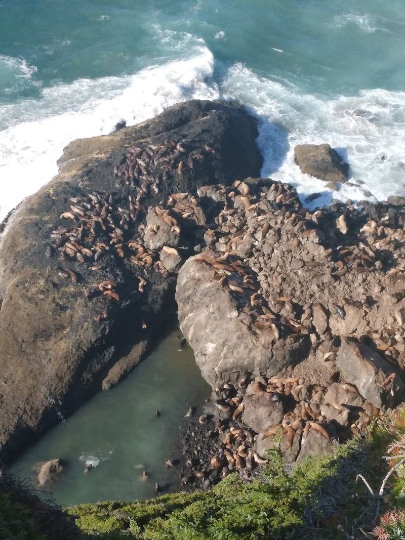 Why This Stop Belongs on Every Oregon Coast Road Trip Why This Stop Belongs on Every Oregon Coast Road Trip