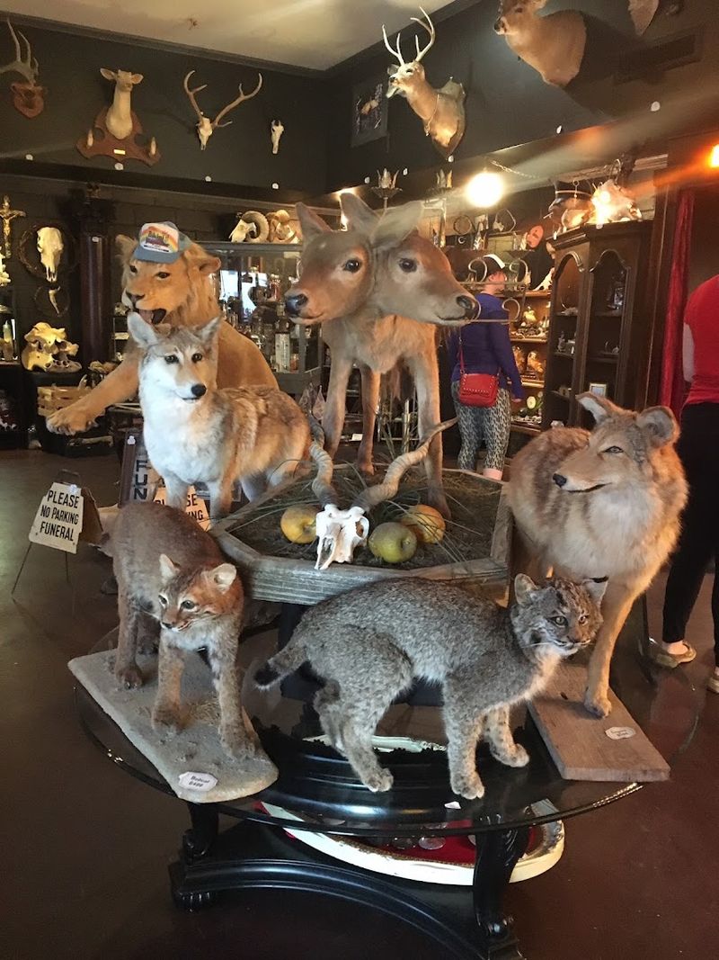 Why This Strange Little Shop Sticks With You Why This Strange Little Shop Sticks With You