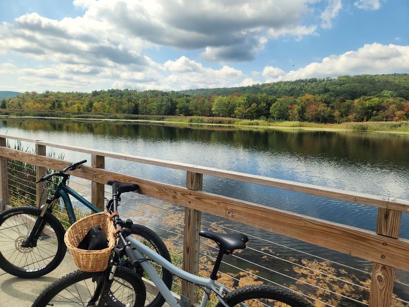 Why This Trail Stands Out Among New York Rail Trails Why This Trail Stands Out Among New York Rail Trails