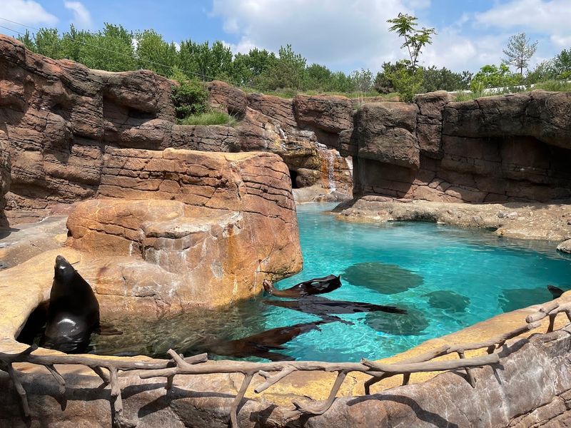 Why This Zoo Keeps Drawing People Back Year After Year