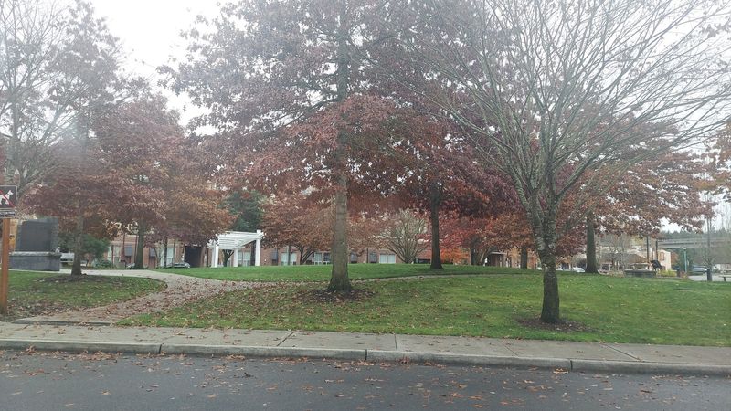 Why Visitors Keep Coming Back to DuPont Again and Again Why Visitors Keep Coming Back to DuPont Again and Again
