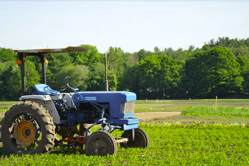 Why Wilson Farm Keeps Drawing People Back Year After Year