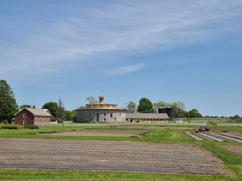 Why the Shaker Story Still Resonates