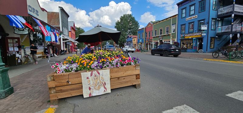 Wildflower Festival: A Celebration Worth Planning Around