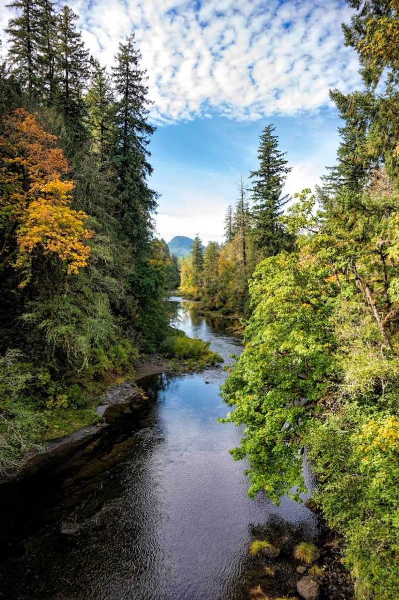 Wildlife, Birds, and What You Might Spot on the Trail Wildlife, Birds, and What You Might Spot on the Trail