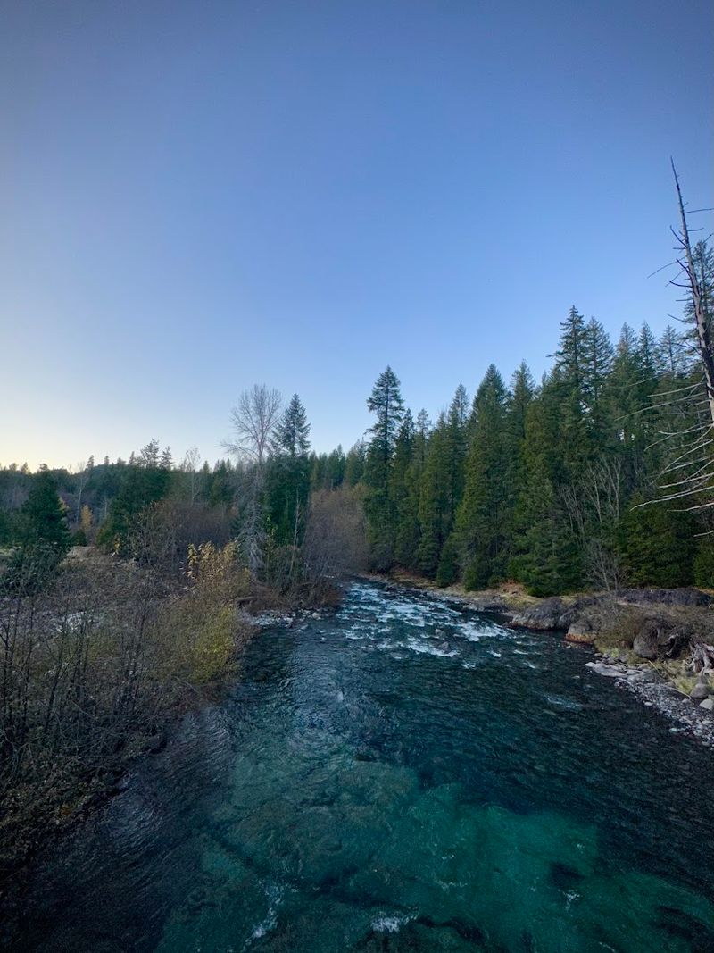 Wildlife, Nature, and the Surrounding Forest Wildlife, Nature, and the Surrounding Forest