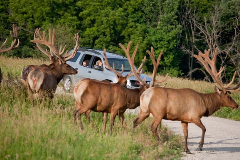 Wildlife Safari Park, Ashland, Nebraska
