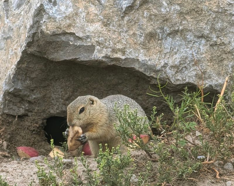 Wildlife That Will Keep Your Binoculars Busy Wildlife That Will Keep Your Binoculars Busy