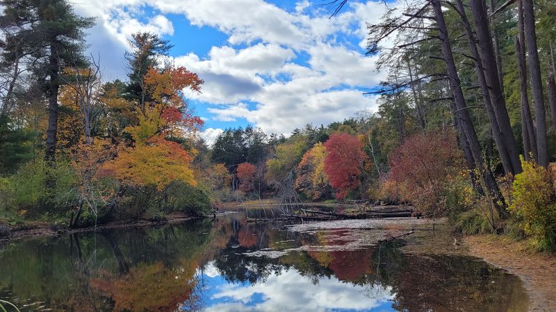 Wildlife Watching Across the Seasons