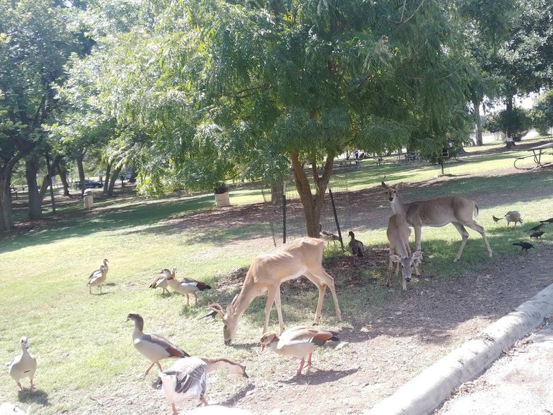 Wildlife Watching Throughout the Grounds