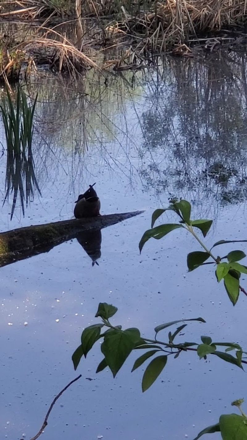 Wildlife You Can Actually Spot on the Trails Wildlife You Can Actually Spot on the Trails