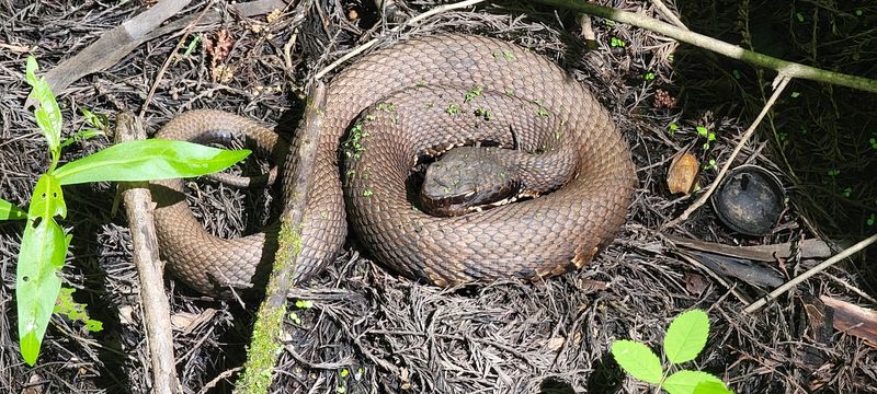 Wildlife You Can Expect to Encounter on the Trails Wildlife You Can Expect to Encounter on the Trails