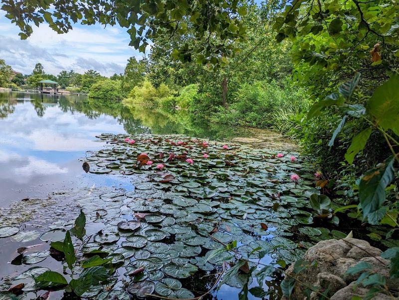 Wildlife and Ecosystem: The Quieter Side of the Park