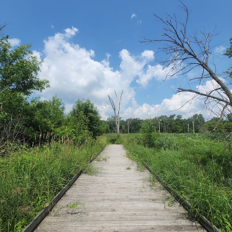 Wildlife and Natural Diversity Worth Slowing Down For Wildlife and Natural Diversity Worth Slowing Down For
