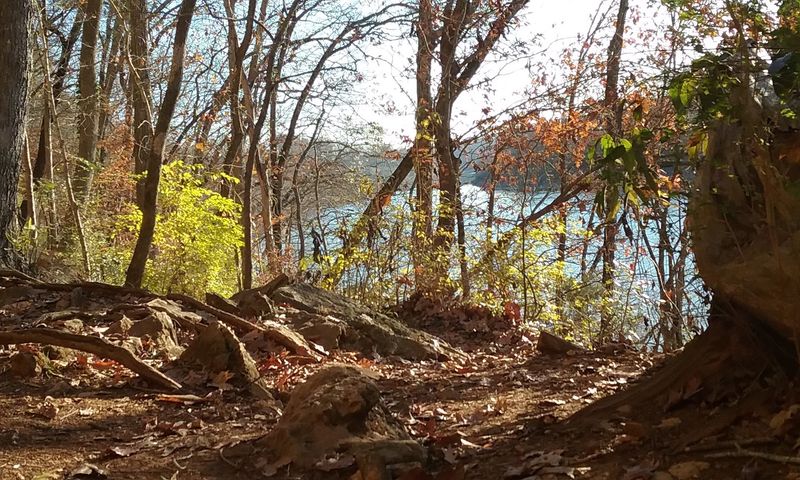 Wildlife and Natural Hazards on the Trail