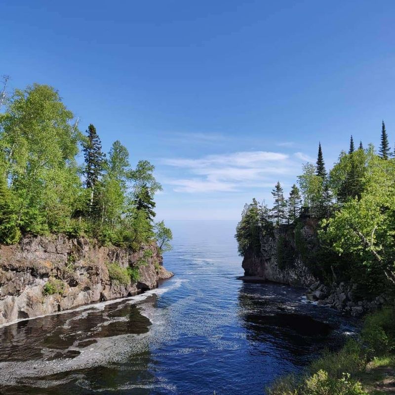 Wildlife and Natural Surroundings