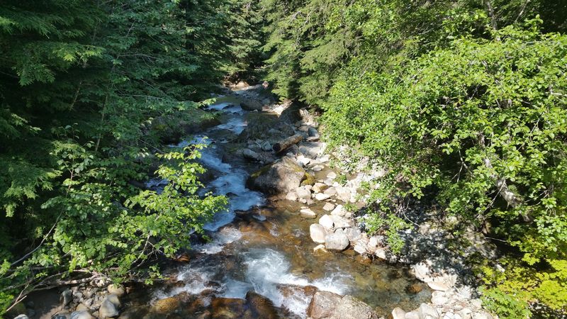 Wildlife and Nature Along the Route