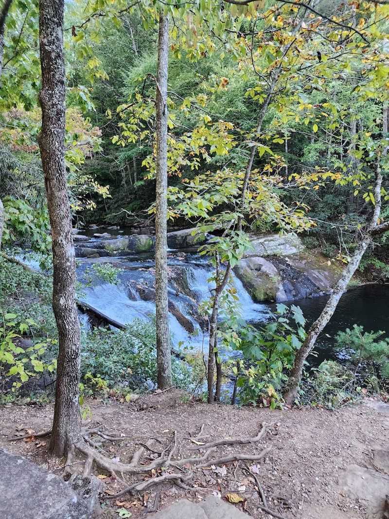 Wildlife and Nature Along the Way
