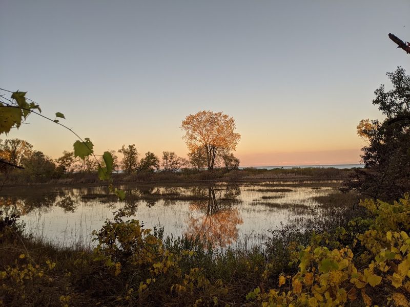 Wildlife and Nature That Consistently Surprise Visitors Wildlife and Nature That Consistently Surprise Visitors
