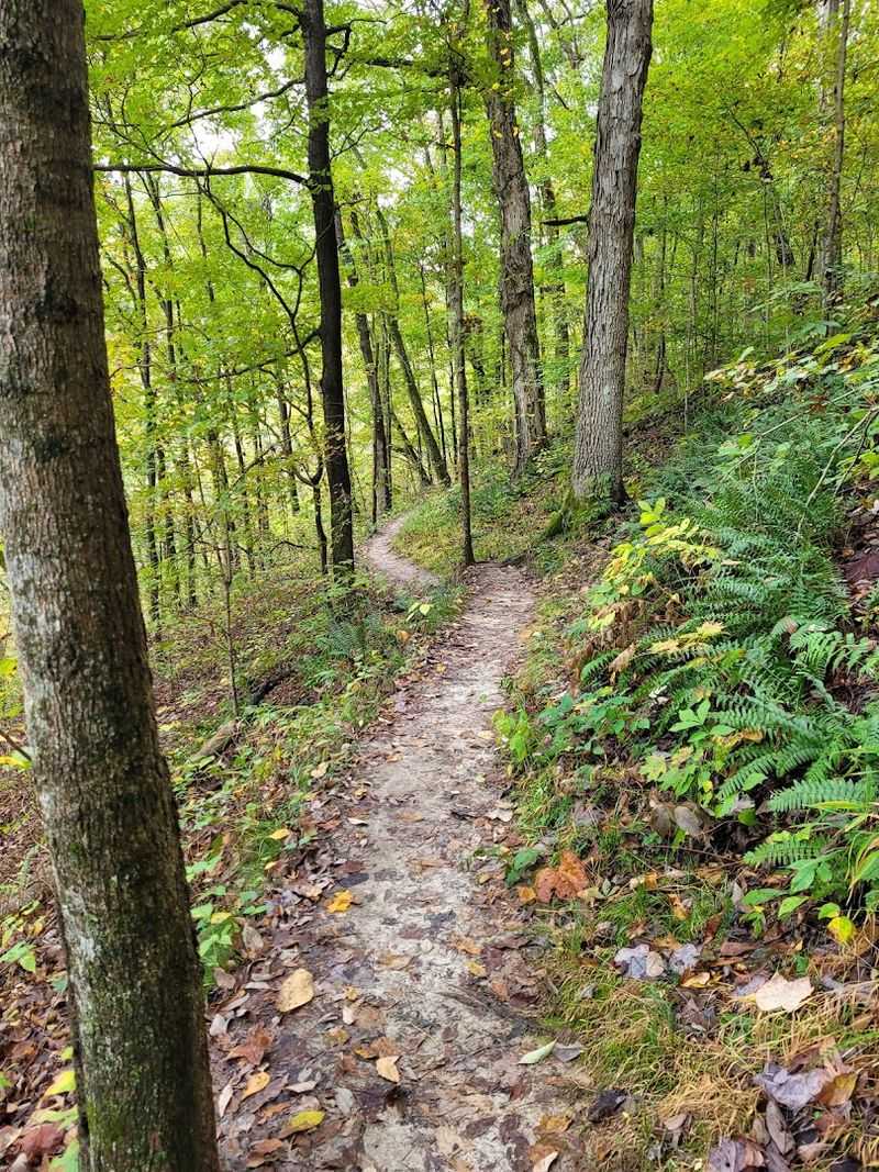 Wildlife and Nature: What You Might Encounter Wildlife and Nature: What You Might Encounter