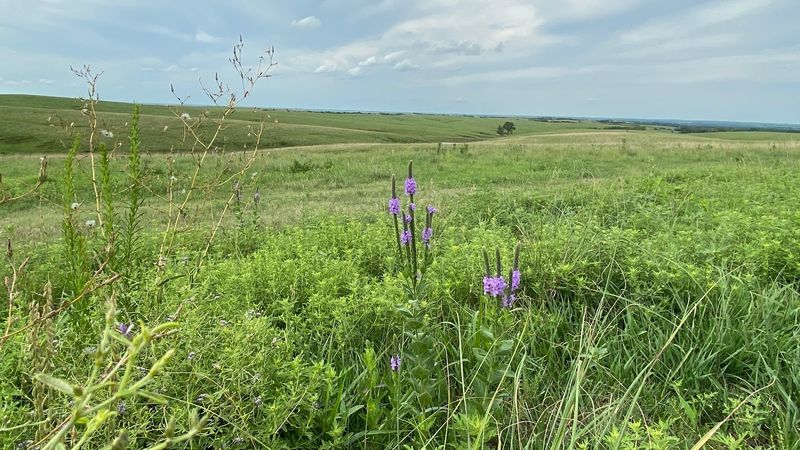 Willa Cather Memorial Prairie, Red Cloud, Nebraska