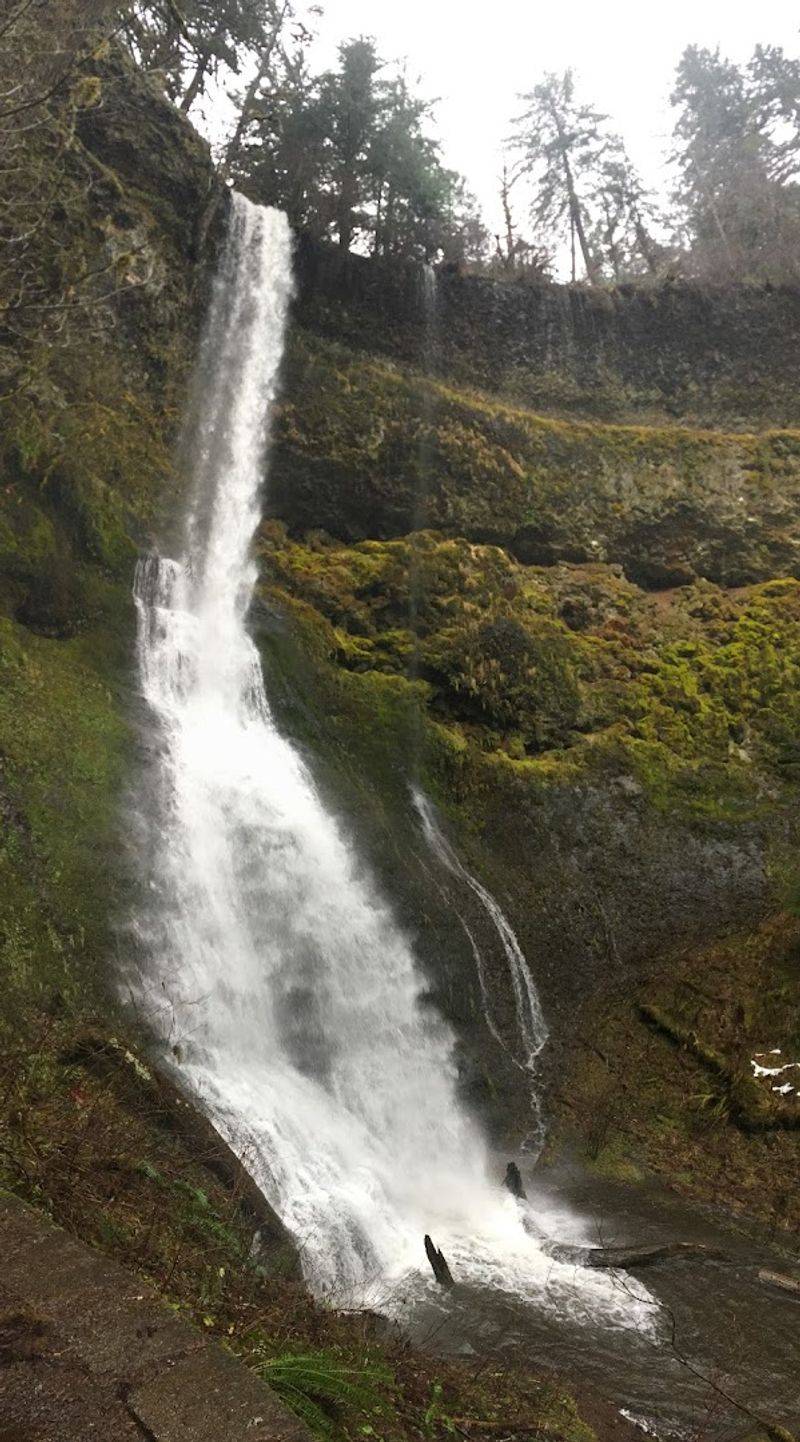 Winter Falls: A Seasonal Show Worth Timing Right Winter Falls: A Seasonal Show Worth Timing Right