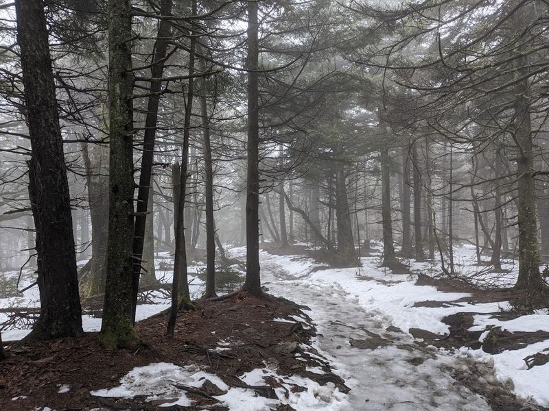 Winter Hiking: A Whole Different Challenge Winter Hiking: A Whole Different Challenge