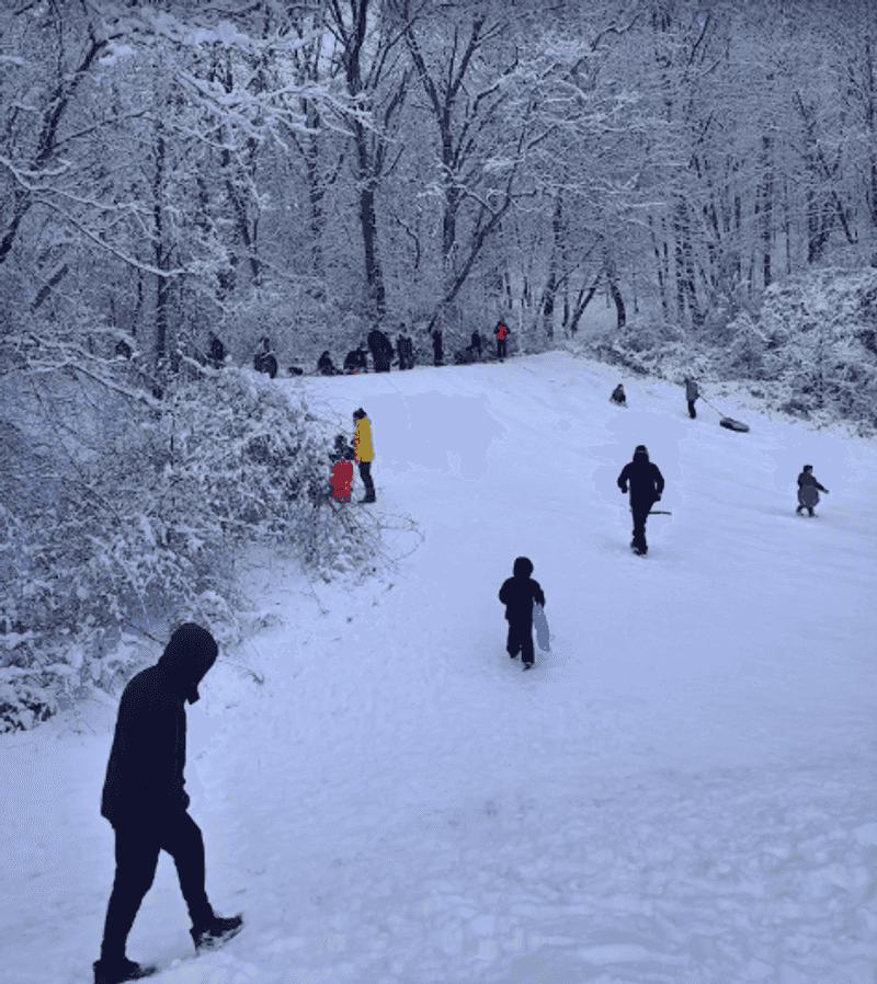 Winter Visits Come With Their Own Set Of Conditions Winter Visits Come With Their Own Set Of Conditions