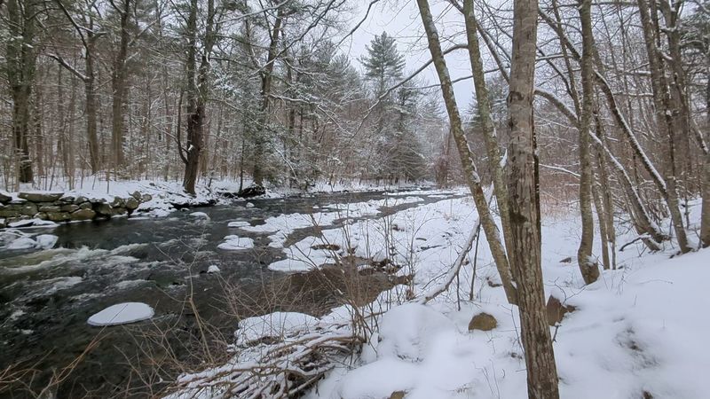 Winter and Year-Round Access
