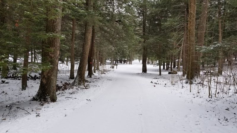 Winter at the Park: A Quieter, Colder Kind of Magic Winter at the Park: A Quieter, Colder Kind of Magic