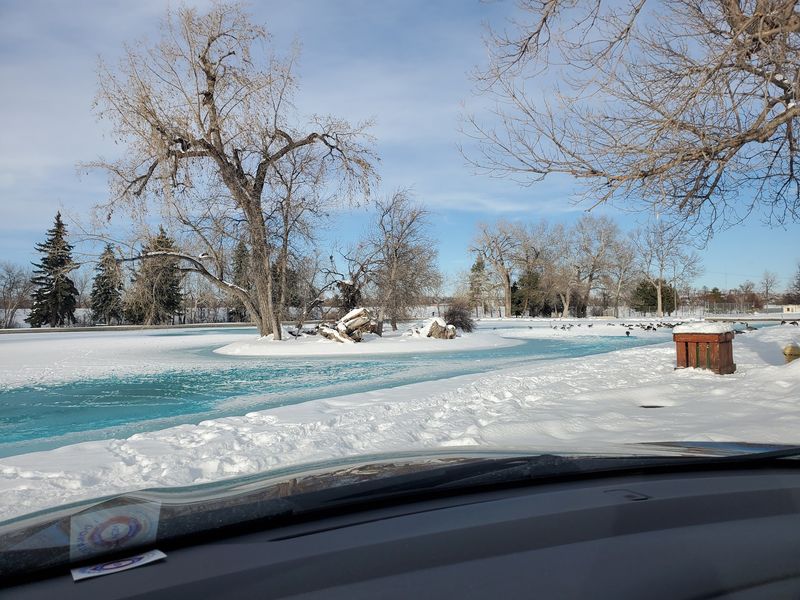 Winter at the Pond: Ice, Quiet, and a Different Kind of Beauty Winter at the Pond: Ice, Quiet, and a Different Kind of Beauty