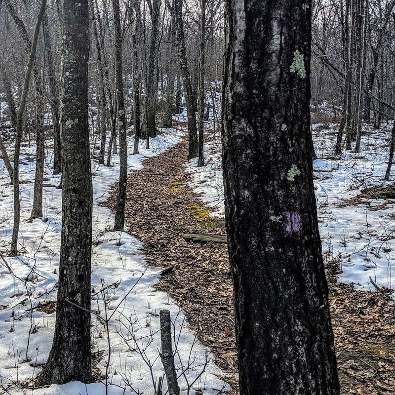 Winter at the Sanctuary