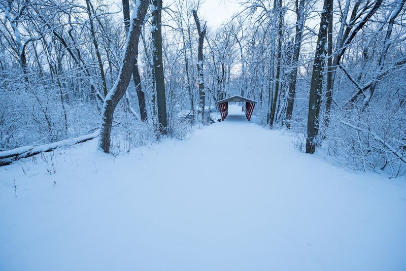 Winter on the Trails Winter on the Trails