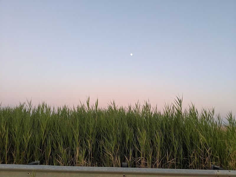 Woodland Beach, Smyrna, Delaware