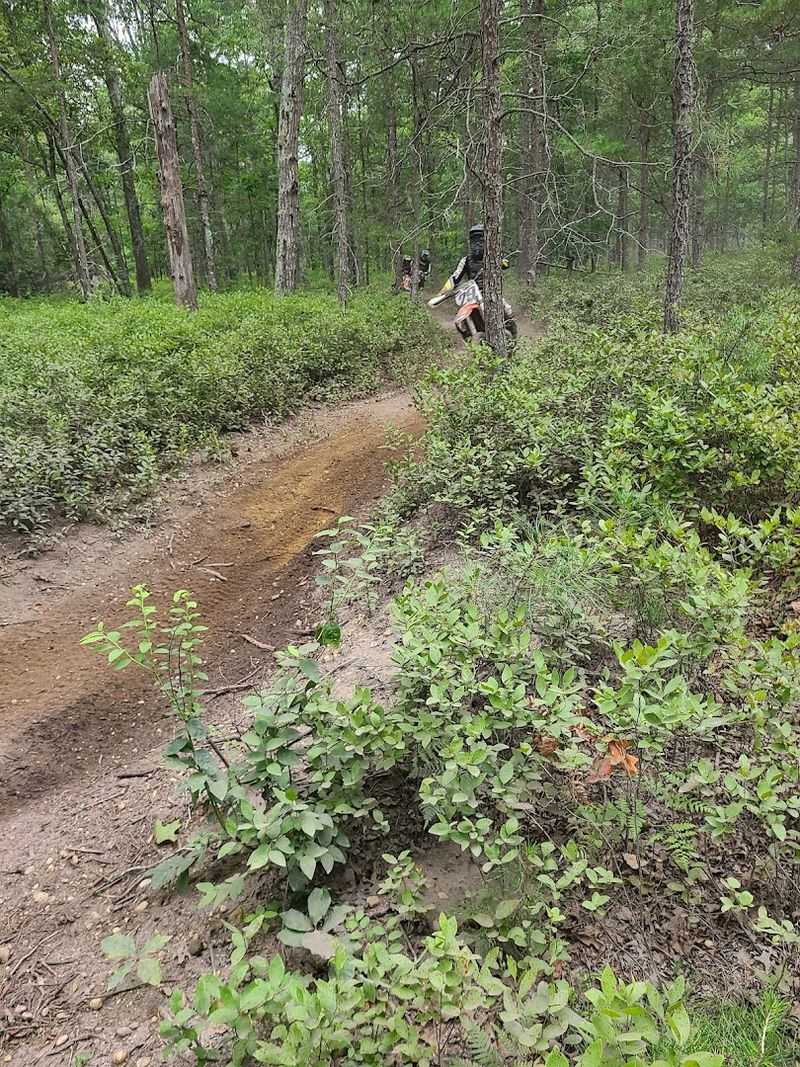 Woods Trails That Go Beyond the Main Tracks Woods Trails That Go Beyond the Main Tracks