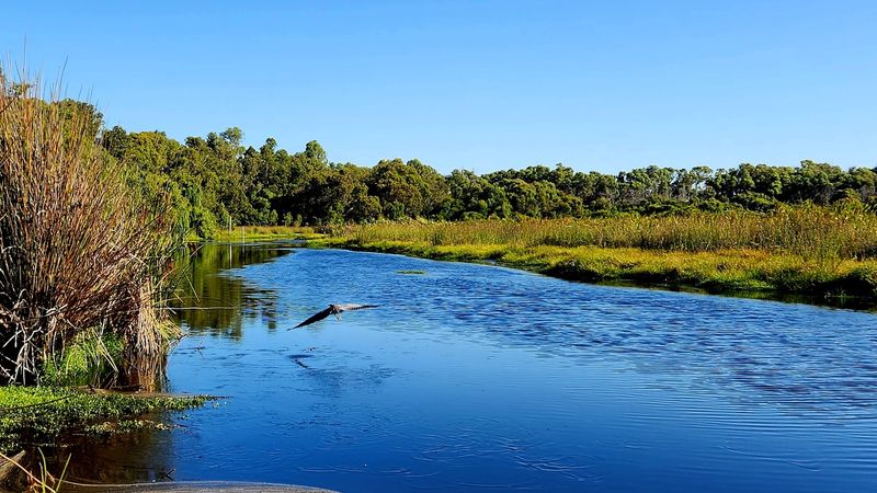 Yanchep National Park, Yanchep, Western Australia Yanchep National Park, Yanchep, Western Australia