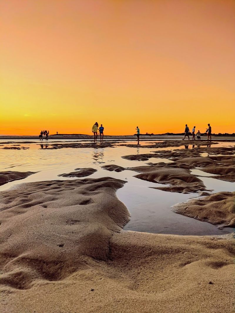 Yarmouth Sand Sculpture Trail, Yarmouth, Massachusetts