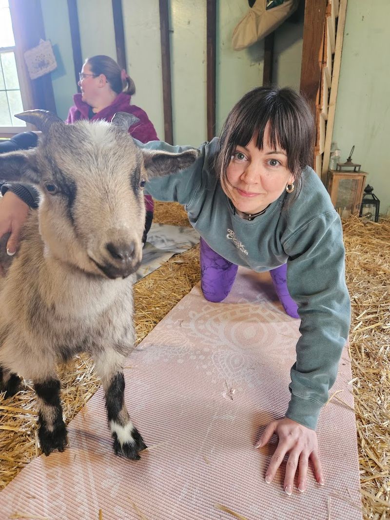 Yoga with Baby Goats Is Exactly as Delightful as It Sounds Yoga with Baby Goats Is Exactly as Delightful as It Sounds