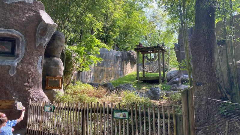 Zoo Atlanta, Atlanta, Georgia, USA Zoo Atlanta, Atlanta, Georgia, USA