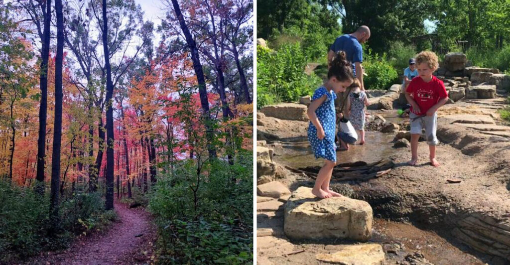 This Minnesota Nature Center Has Woodland Trails, Live Animals, and a Giant Nature Playground