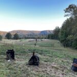 This Free Western North Carolina Mountain Trail Hides 100 Sculptures Along The Path
