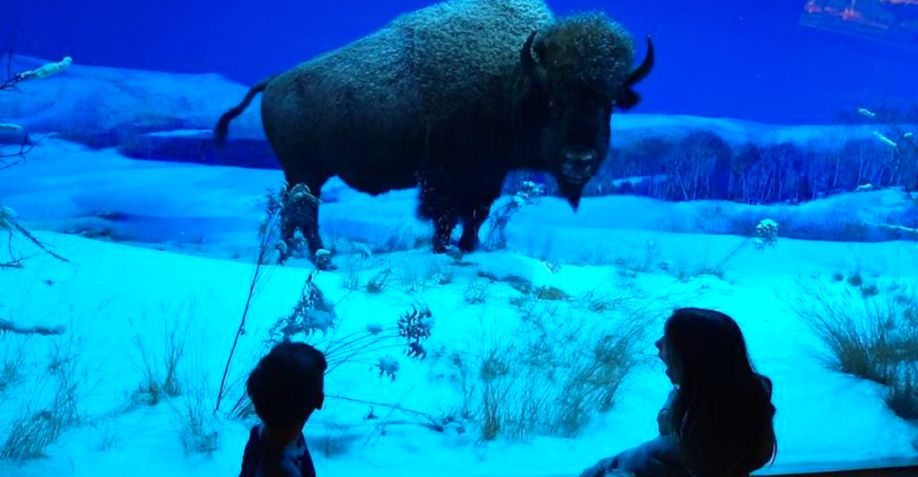 One of Pennsylvania’s Best Museums Has Everything From Mastodons to Masterpieces