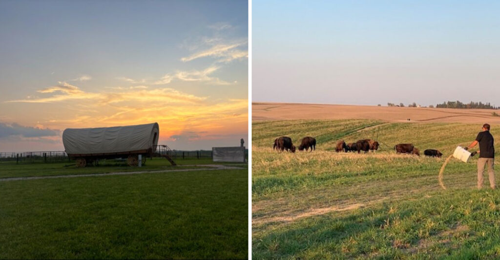 This Iowa Ranch Lets You Ride Through a Herd of Giant American Bison